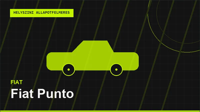 Fiat Punto helyszíni autó állapotfelmérés vásárlás előtt
