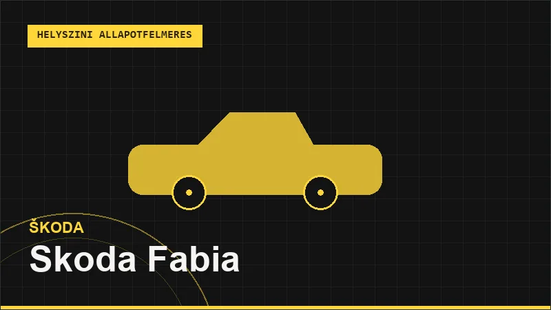Skoda Fabia helyszíni autó állapotfelmérés vásárlás előtt